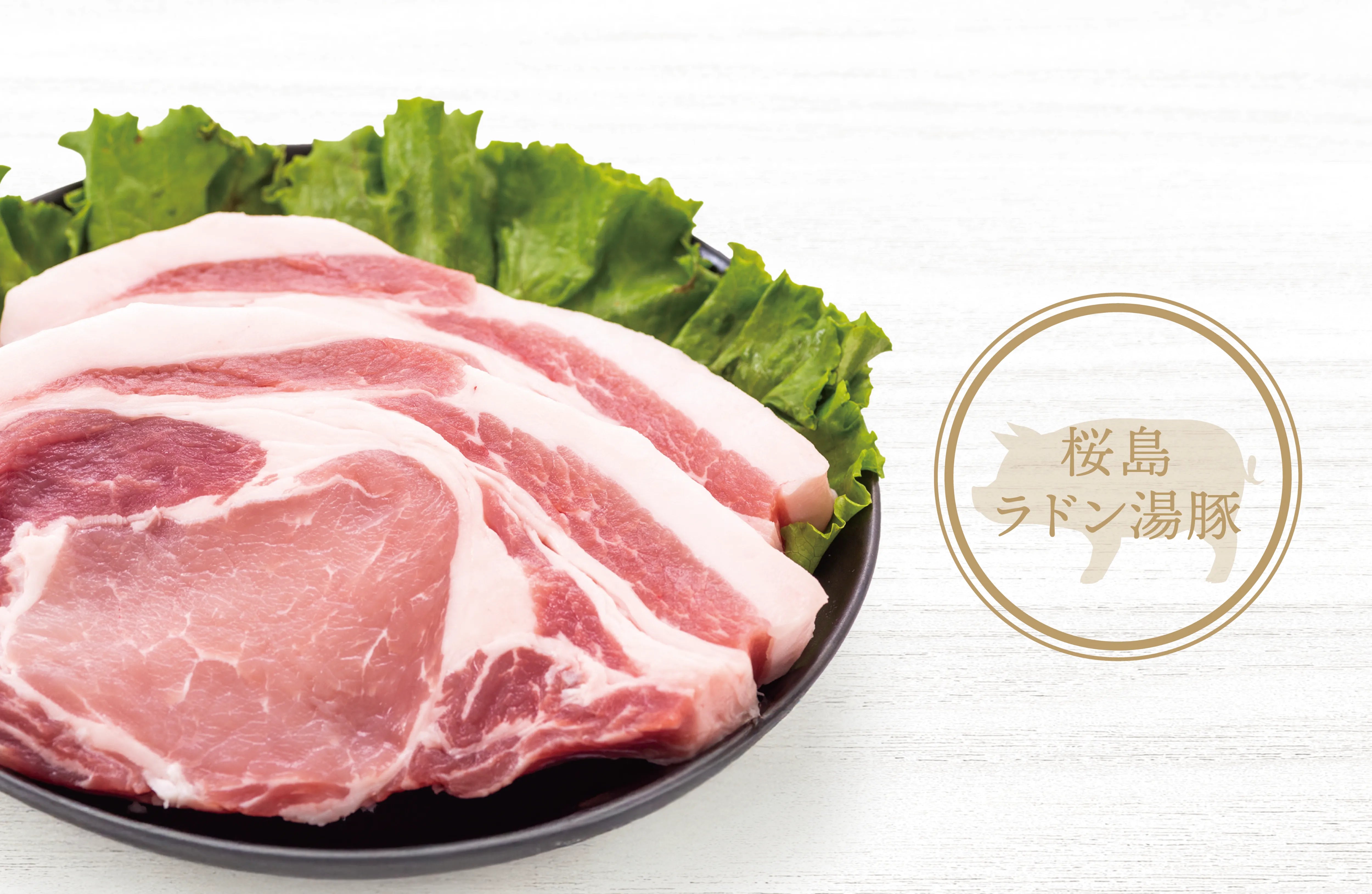 愛犬に豚肉×腸活|涙やけ・体の熱・免疫をまとめれサポートするおすすめ食材