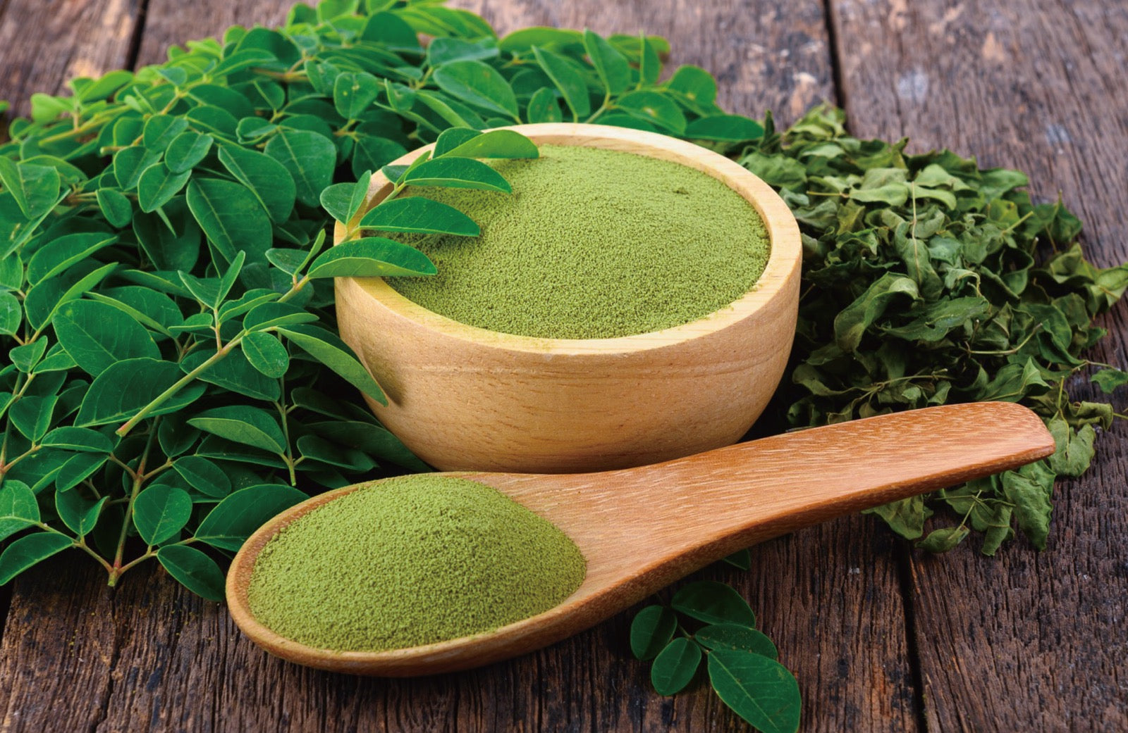 モリンガとは?愛犬への効果と栄養価をわかりやすく解説