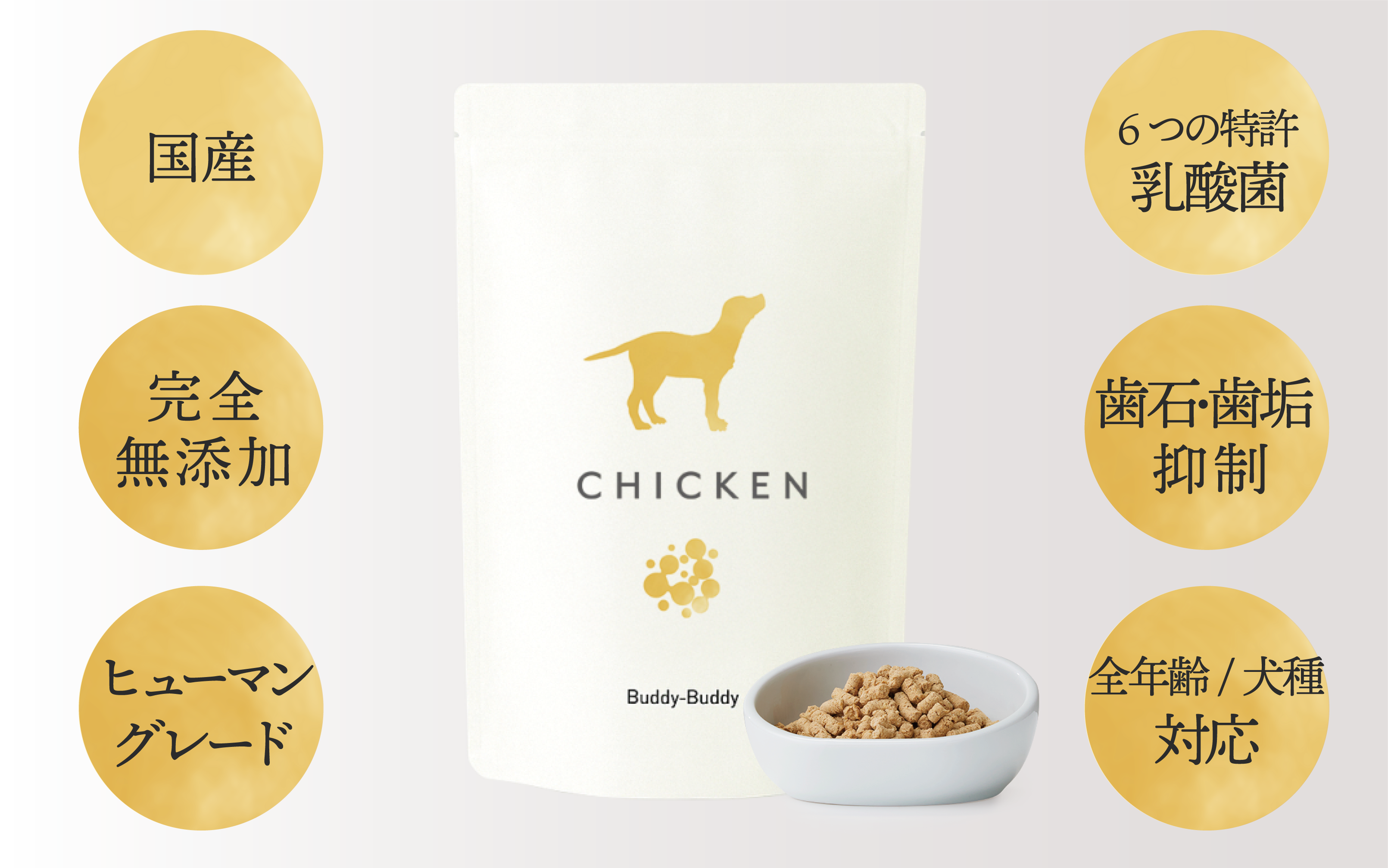 【定期便初回】バディバディ腸活&口腔ケアドライフード チキン