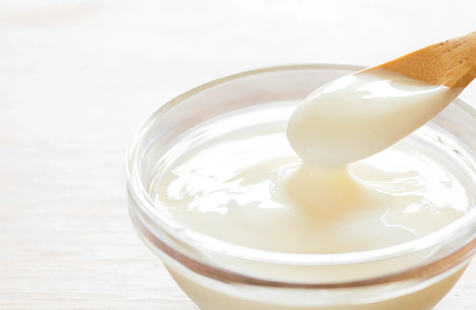 【犬の腸活】フェカリス乳酸菌とは？選ばれる理由と働き