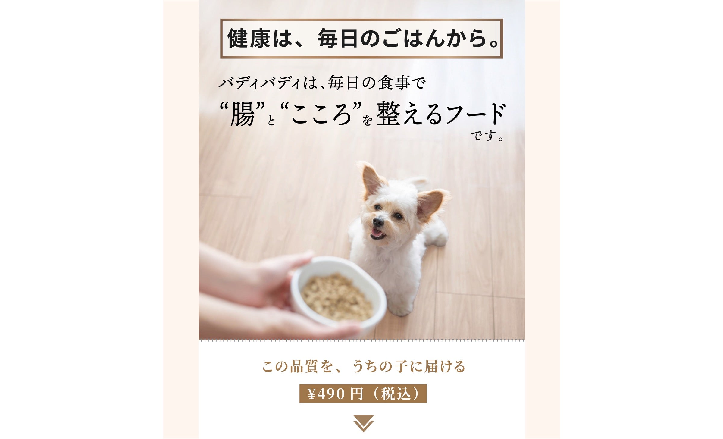 ドライフード食いつきトライアルセット