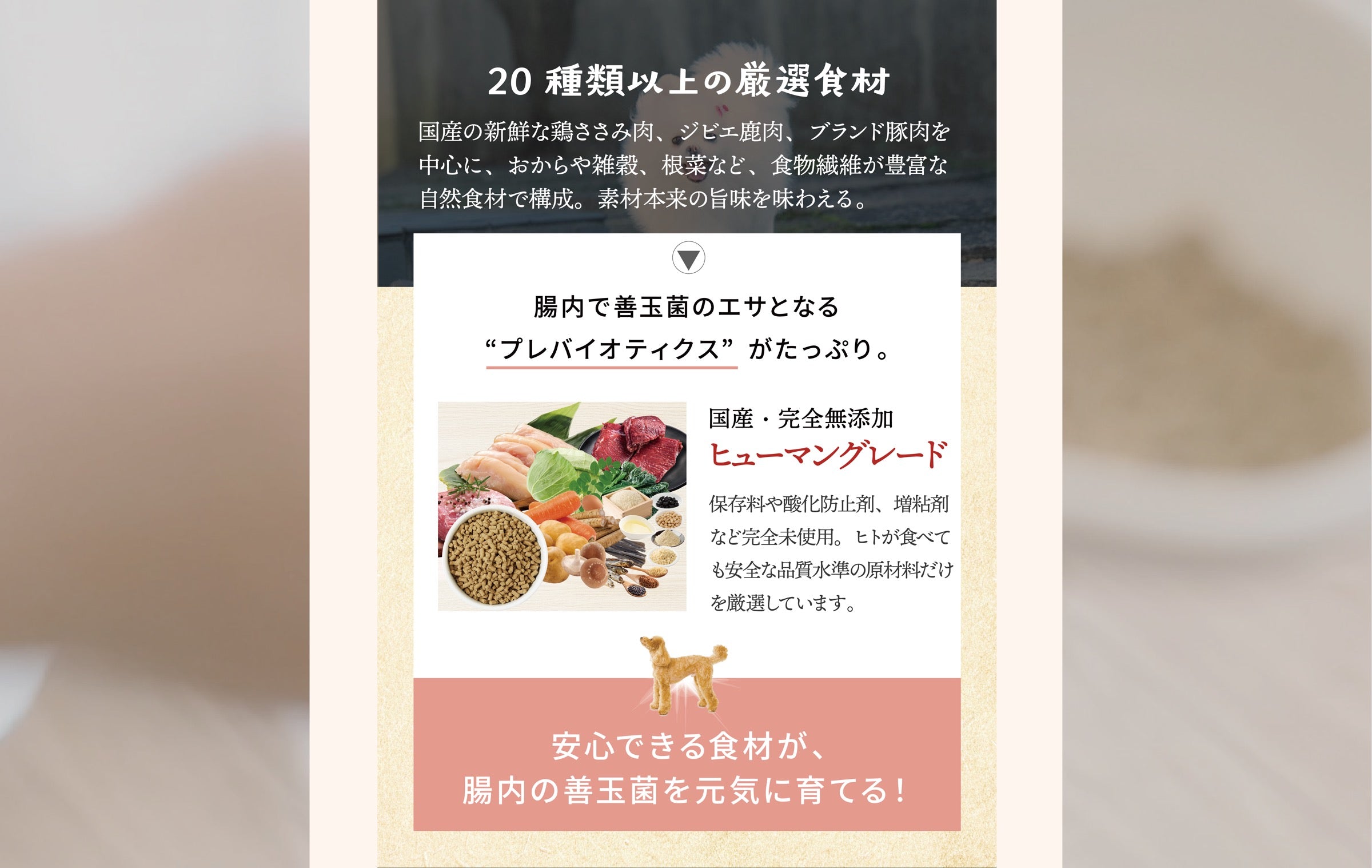 ドライフード食いつきトライアルセット