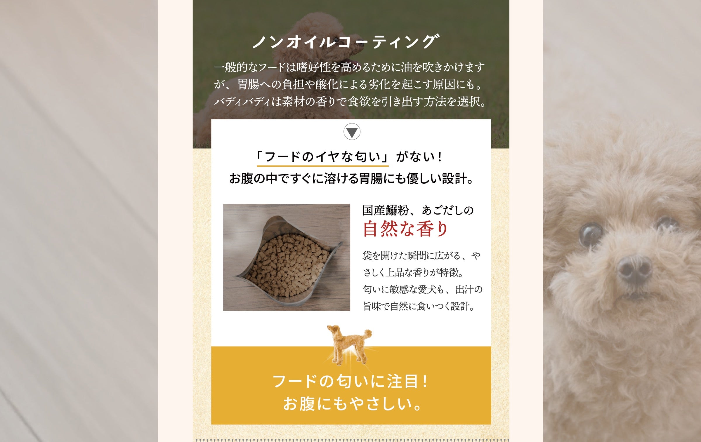 ドライフード食いつきトライアルセット