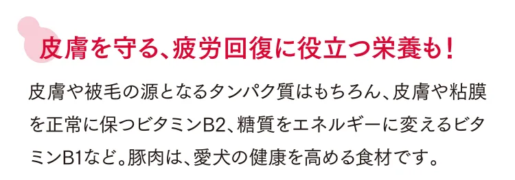 皮膚を守る、疲労回復に役立つ栄養も！