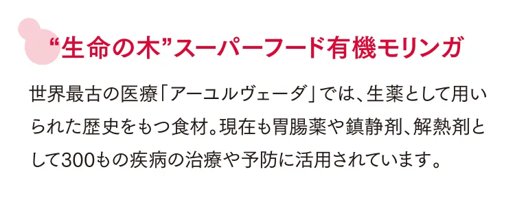 “生命の木”スーパーフード有機モリンガ