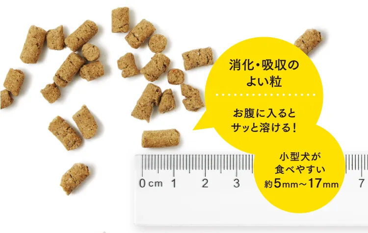 消化・吸収のよい粒／お腹に入るとサッと溶ける！／小型犬が食べやすい約5mm〜17mm