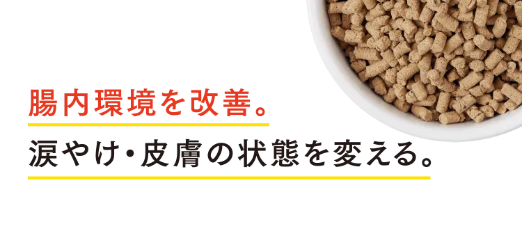 腸内環境を改善。涙やけ・皮膚の状態を変える。